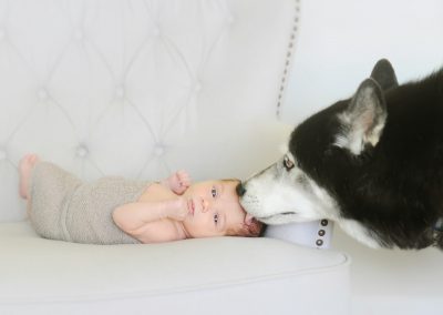 newborn and pets