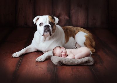 baby and dog