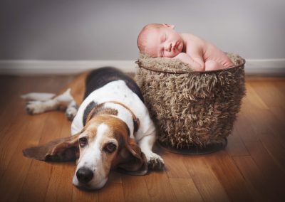 newborn in basket with dog
