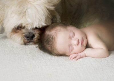 puppy and baby