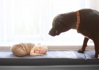 photographer that photographs newborn with dog