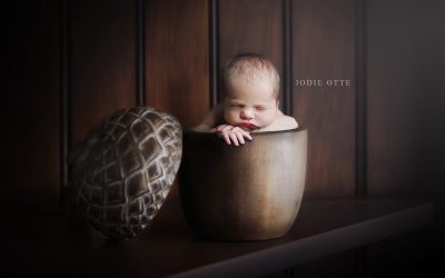 Newborn Composites & Newborn Safety