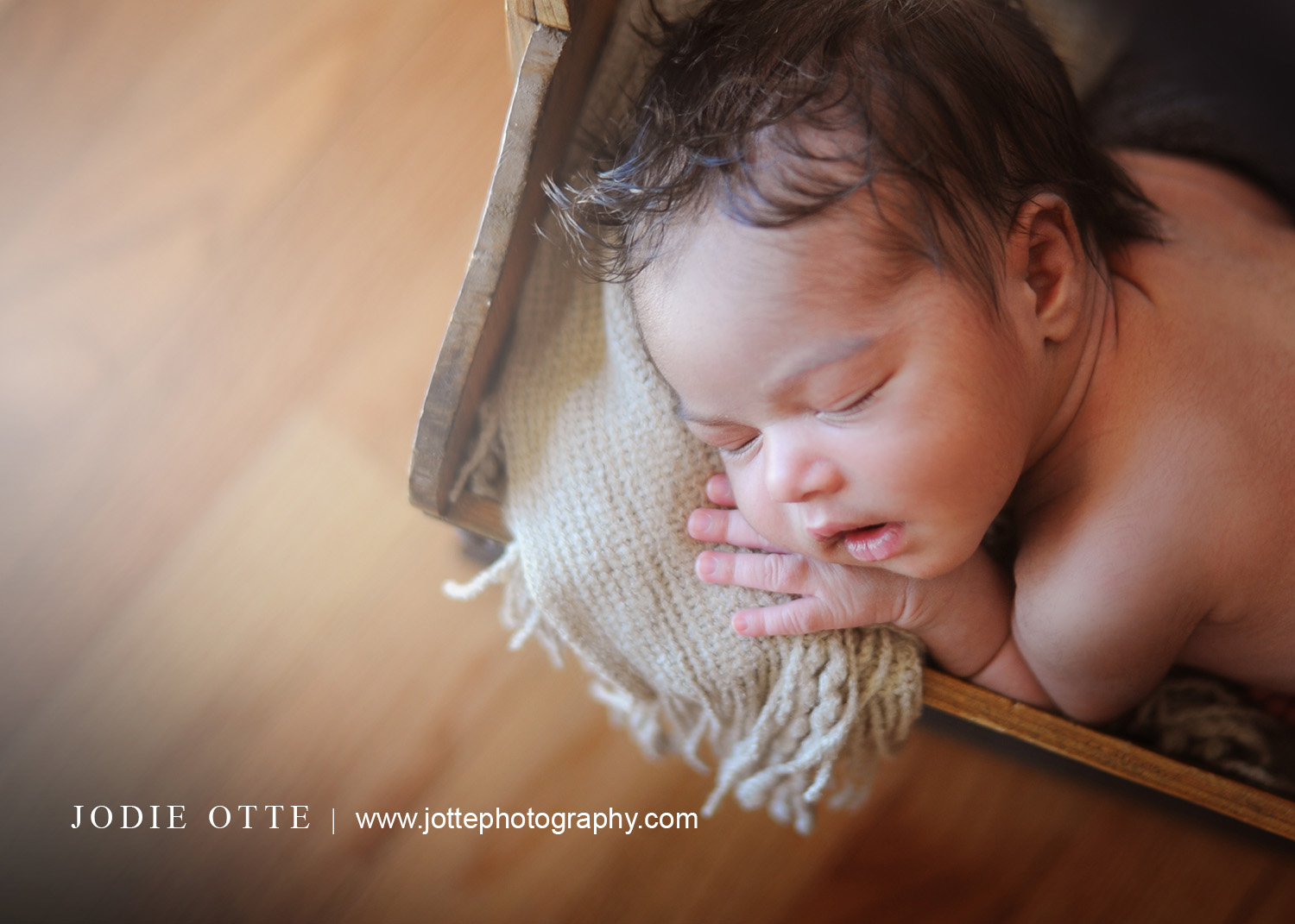 beautiful newborn baby portraits