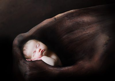 columbia newborn photographer